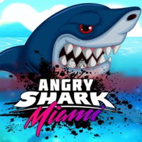 Angry Shark Miami